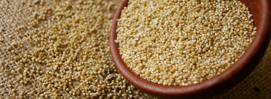 quinoa