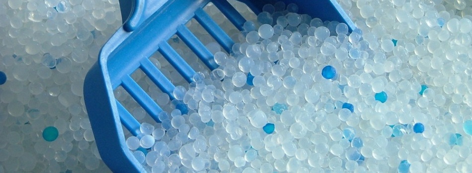 Absorbent cat litter shutterstock_243359