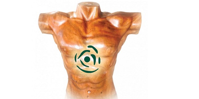 Qué-son-y-cómo-funcionan-los-BioHealthChip