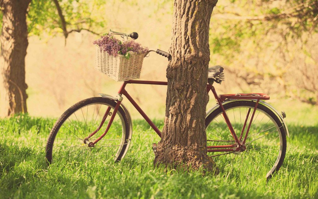 lomo-bicycle-nature-wallpaper-3840x2400