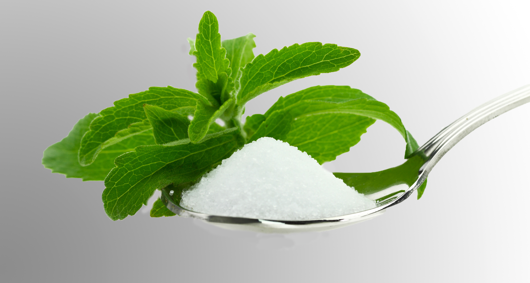 stevia