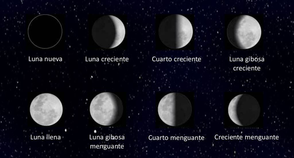 Especial Horóscopo lunar Cómo las fases lunares afectan a cada signo