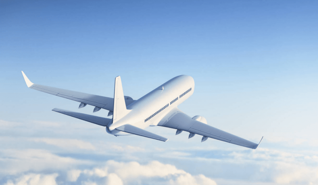 Marilyn Hartman, mujer que viajó más de 30 veces sin boleto es detenida