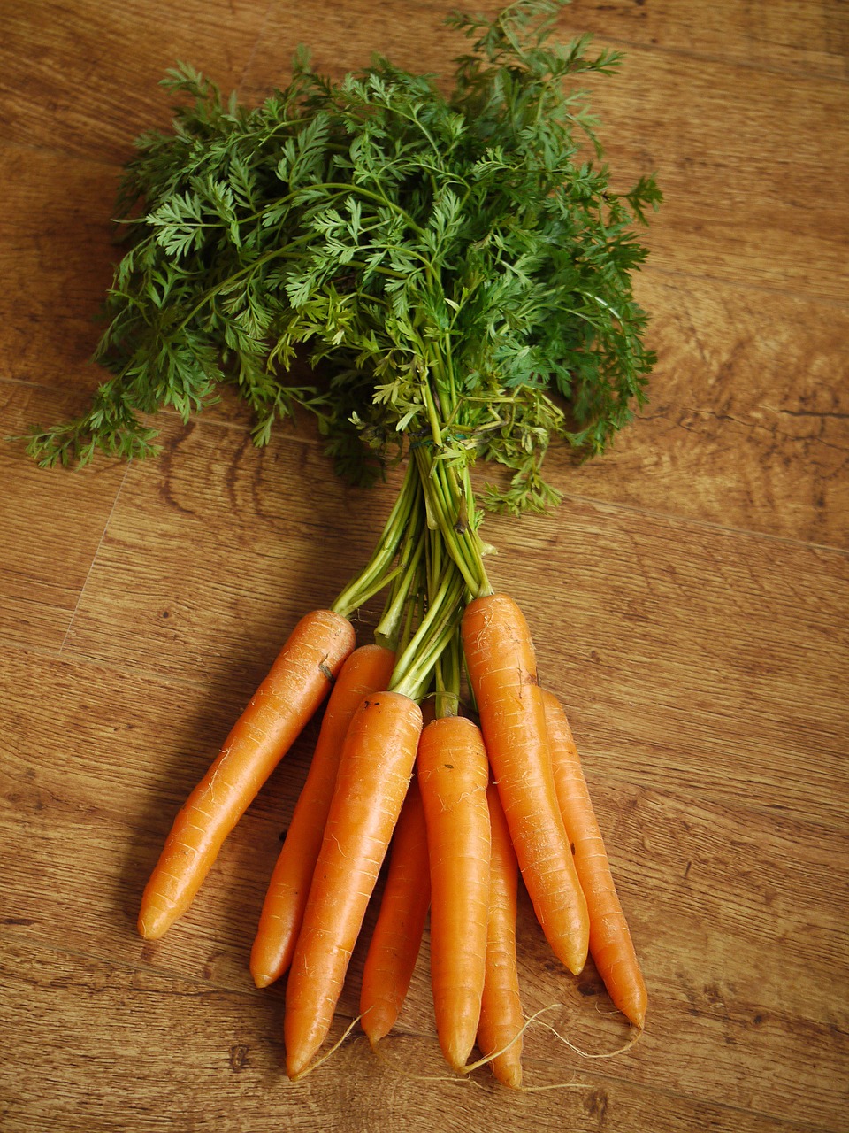 Beneficios Zanahoria