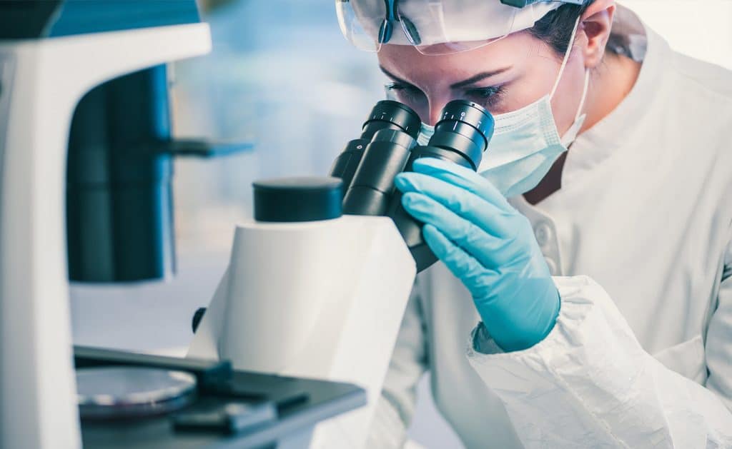 ¿Cuántas frutas y verduras es saludable comer para vivir más tiempo?.