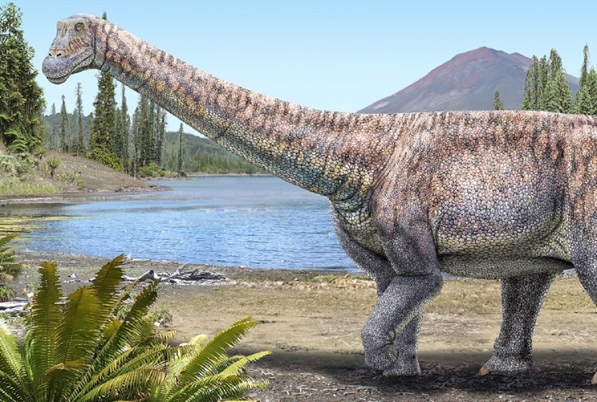 Nueva especie de dinosaurio descubierta en Chile