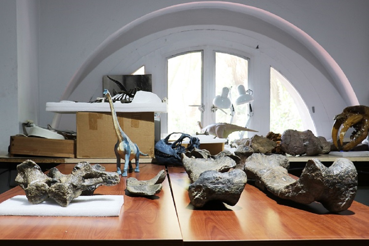 Nueva especie de dinosaurio descubierta en Chile