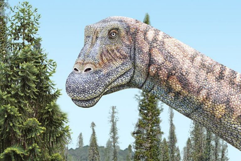 Nueva especie de dinosaurio descubierta en Chile
