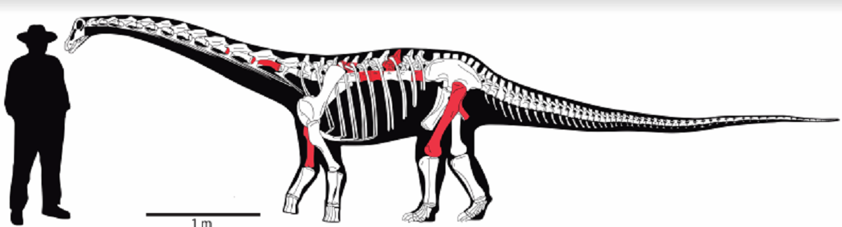 Nueva especie de dinosaurio descubierta en Chile