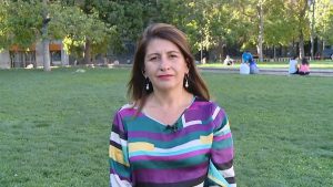 Paula Flores: "Automóviles del 2012 en adelante no tienen restricción"