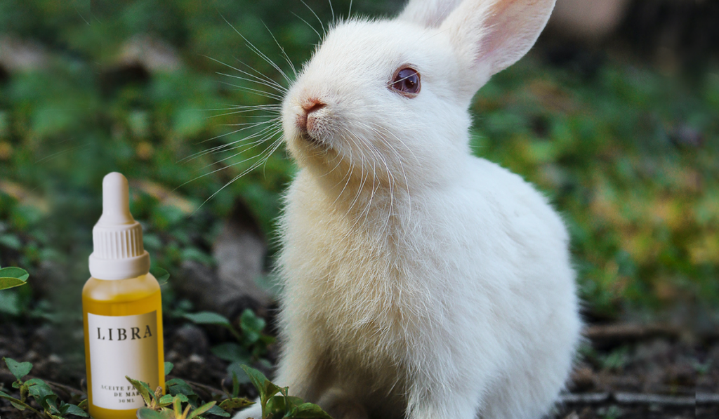 Testeo En Animales (1)