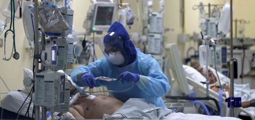 Hongo Verde: Estudio revela al menos cinco casos confirmados en Chile