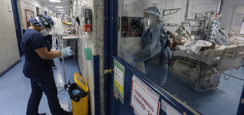 Hongo Verde: Estudio revela al menos cinco casos confirmados en Chile