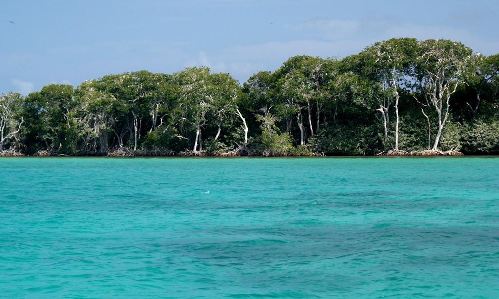 Barlovento: El paraíso venezolano al que nadie quiere llegar