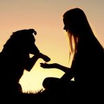 El duelo de una mascota: Cómo enfrentar la perdida de nuestro peludo