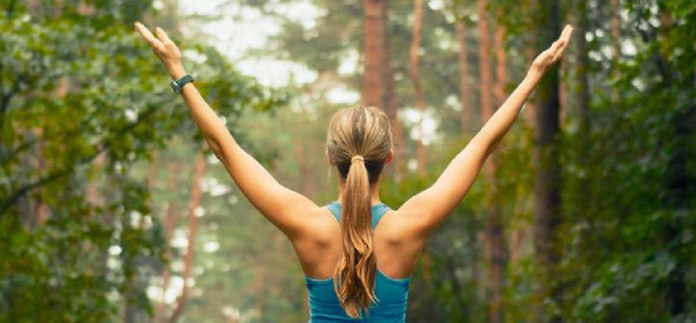 Sonidos de la naturaleza para ayudarnos a mejorar nuestra calidad de vida