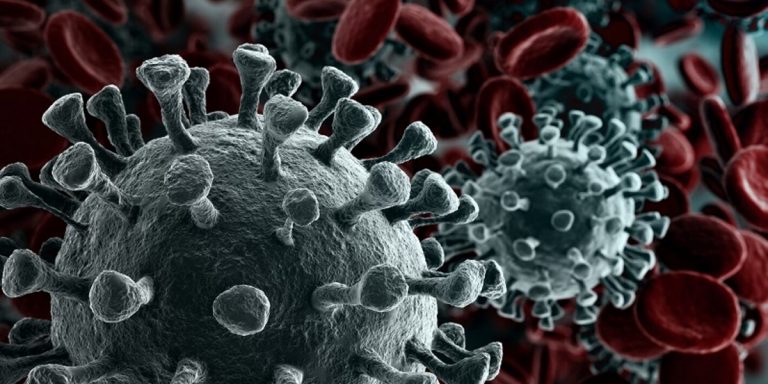 Estudio confirma que el Coronavirus es vascular y no respiratorio