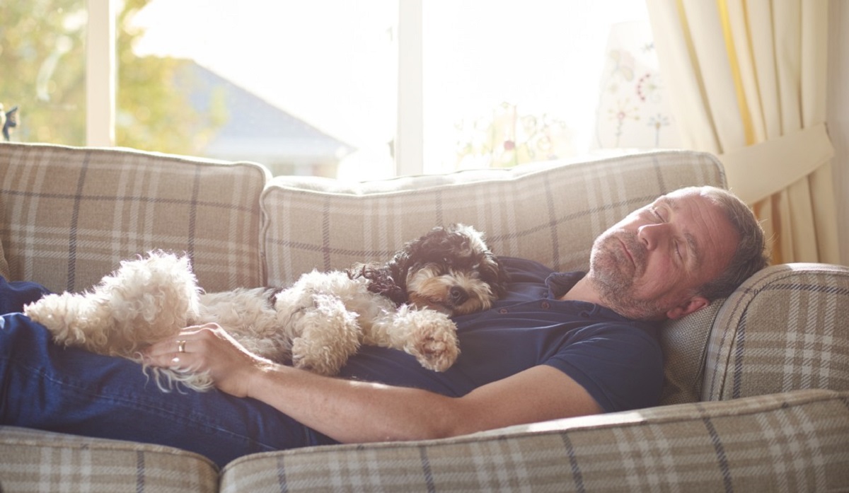 Empresa ofrece $1.500 dolares por dormir la siesta para un estudio