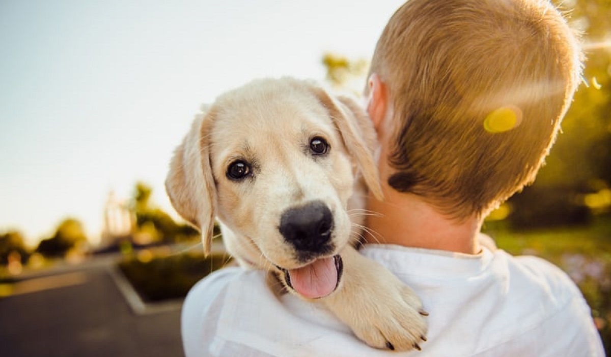 El duelo de una mascota: Cómo enfrentar la perdida de nuestro peludo