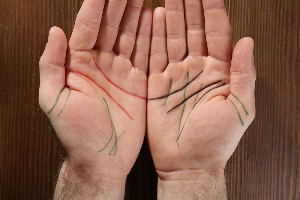 Lineas de la mano: Qué nos dicen y cómo podemos leerlas