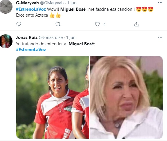 Criticas A Miguel Bosé