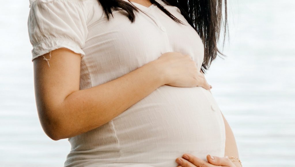 Senado Aprueba Por Unanimidad Ley Dominga 2