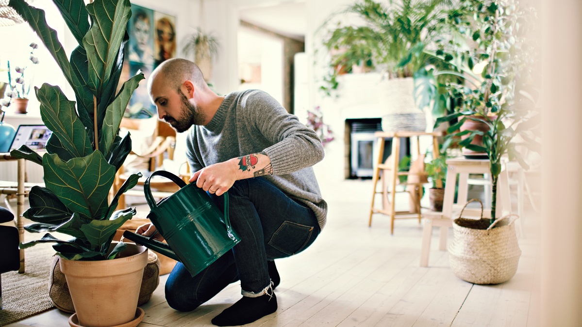 Full Length Of Man Kneeling While Watering Potted Plant At Home