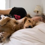 dormir con perros aliviaria el estres