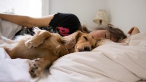 dormir con perros aliviaria el estres