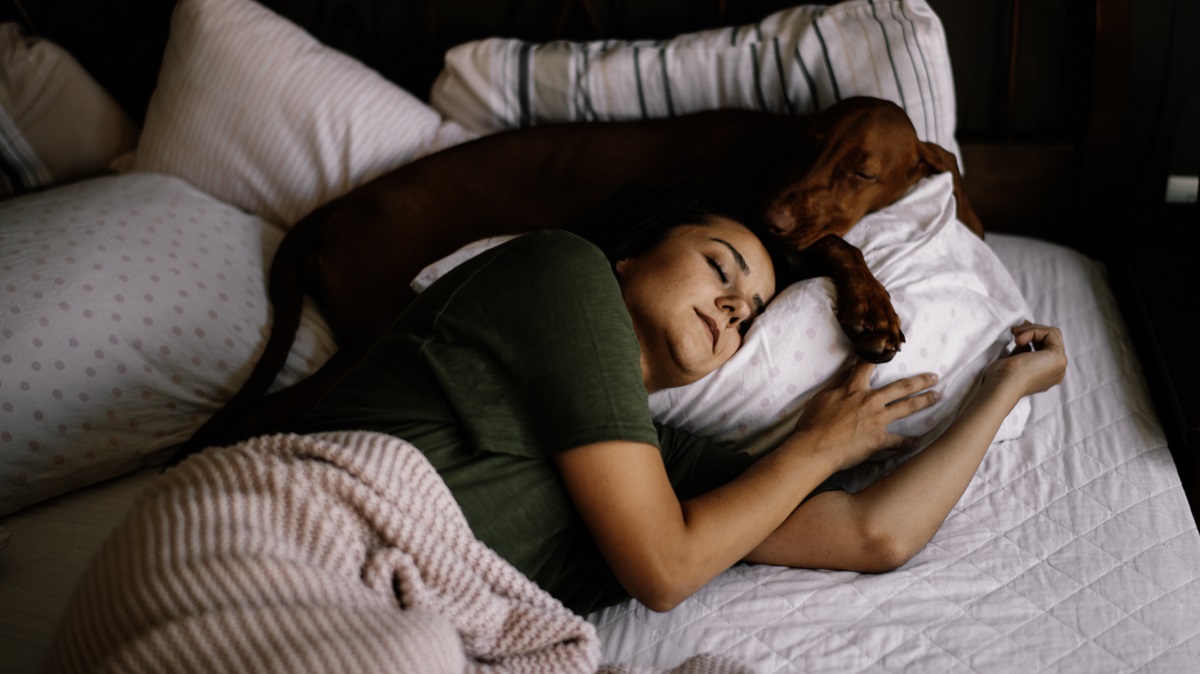 dormir con perros aliviaria el estres