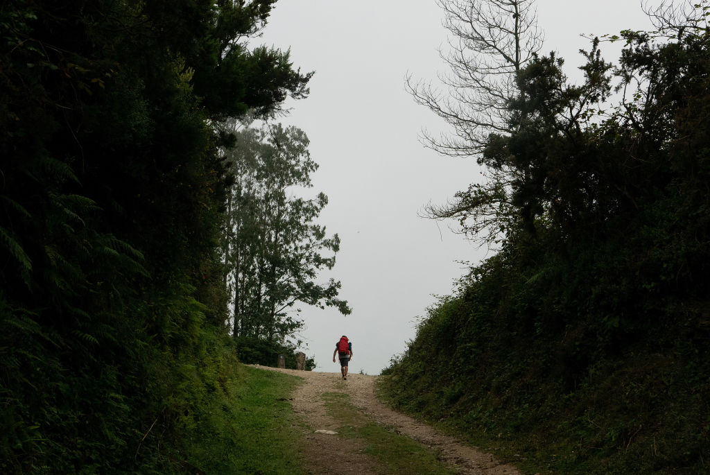 Trekking naturaleza