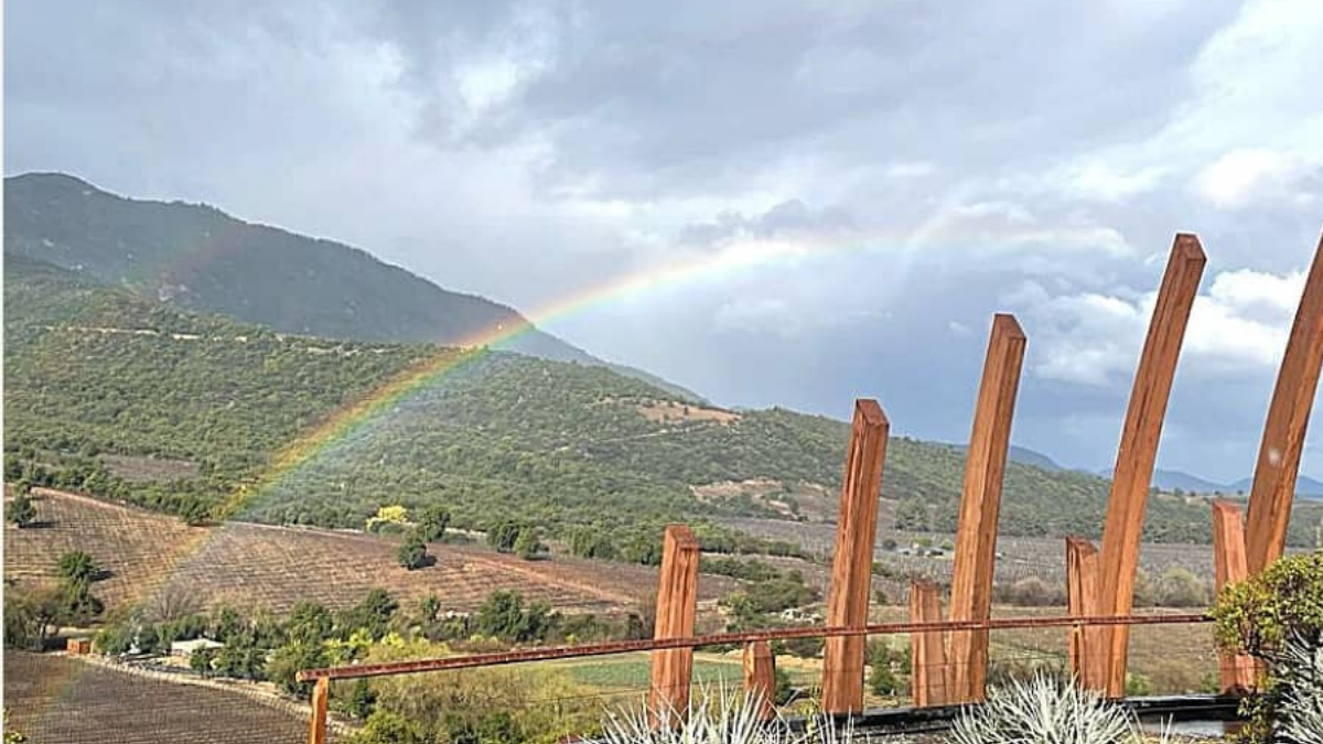 Diseño Sin Título (41)