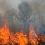 Incendios Forestales