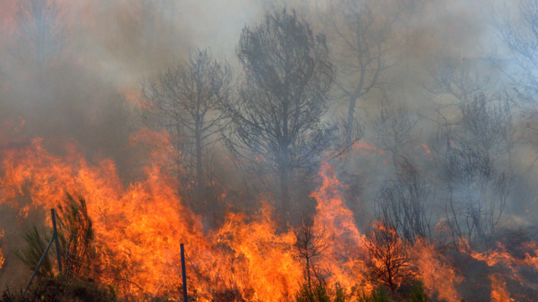 Incendios Forestales