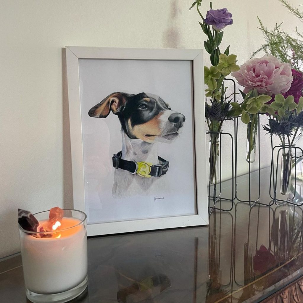 Perro Soledad Onetto