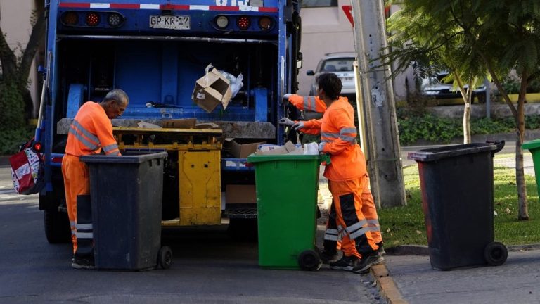 Recolección De Basura