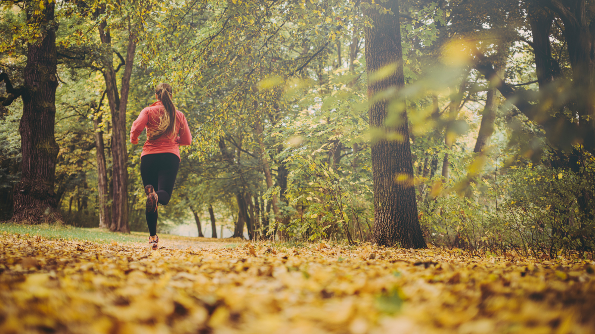 BENEFICIOS DEL OTOÑO PARA LA SALUD FÍSICA Y MENTAL (2)