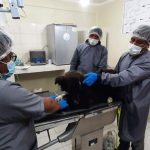 PERRO SALVÓ A DUEÑA EN BOLIVIA