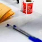 Plebiscito De Salida