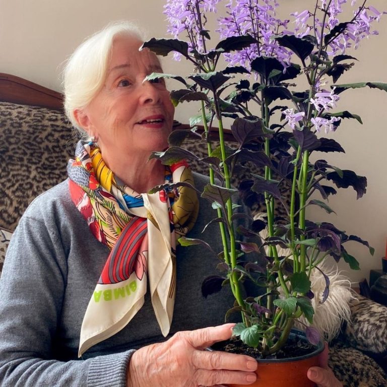 DELFINA GUZMÁN VÍDEO (2)