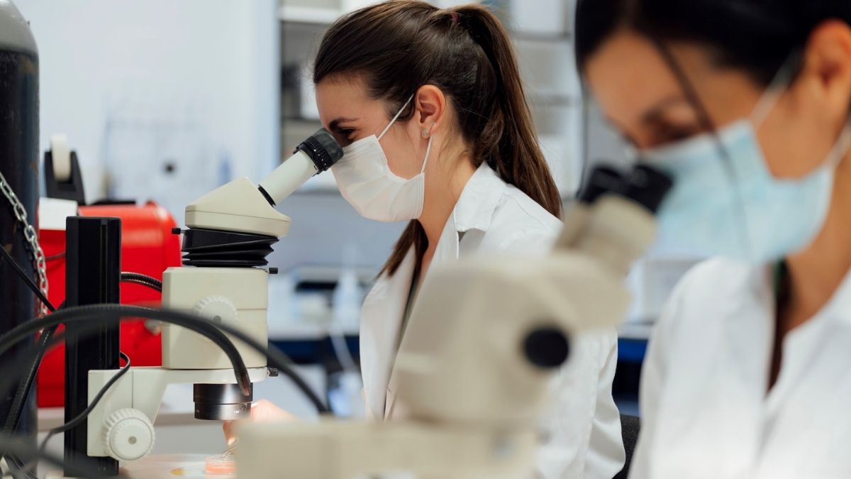 ENFERMEDAD GLOBAL SIMIO (2)