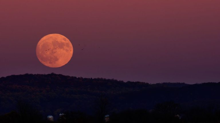 SUPERLUNA DE FRESA 2022 (2)