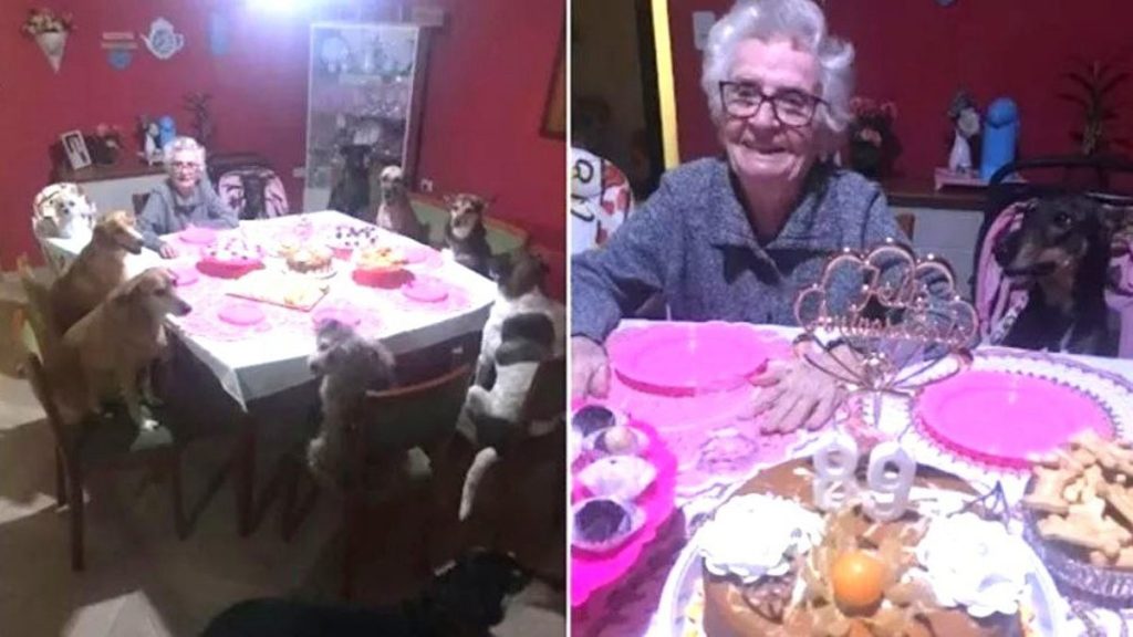 Abuela Con 10 Perros En Tiktok