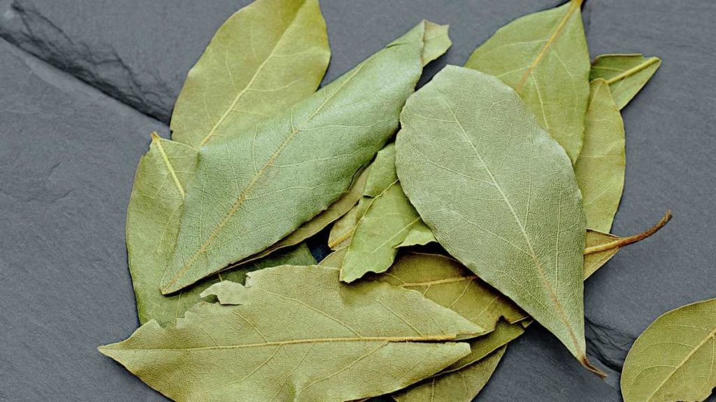 Rituales De Año Nuevo Hojas De Laurel