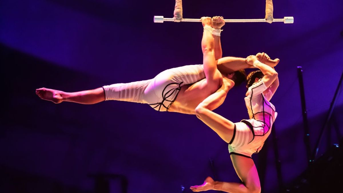 Bazzar Cirque Du Soleil Acrobatas