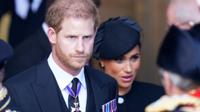 Harry Y Meghan Popularidad