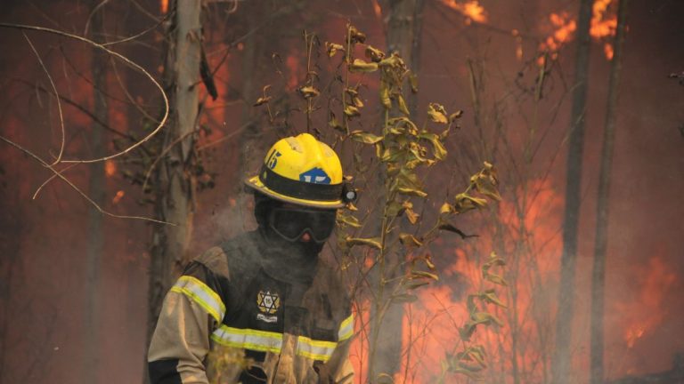 Incendios Forestales   1