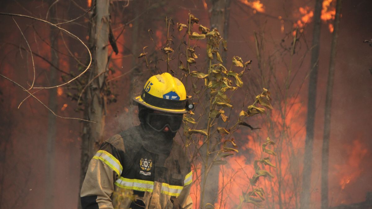 Incendios Forestales 1