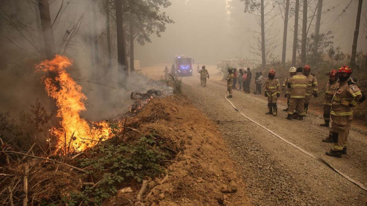 Incendios Forestales Héctareas