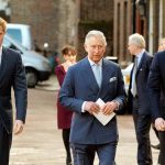 Rey Carlos, Príncipe Harry Y Príncipe William